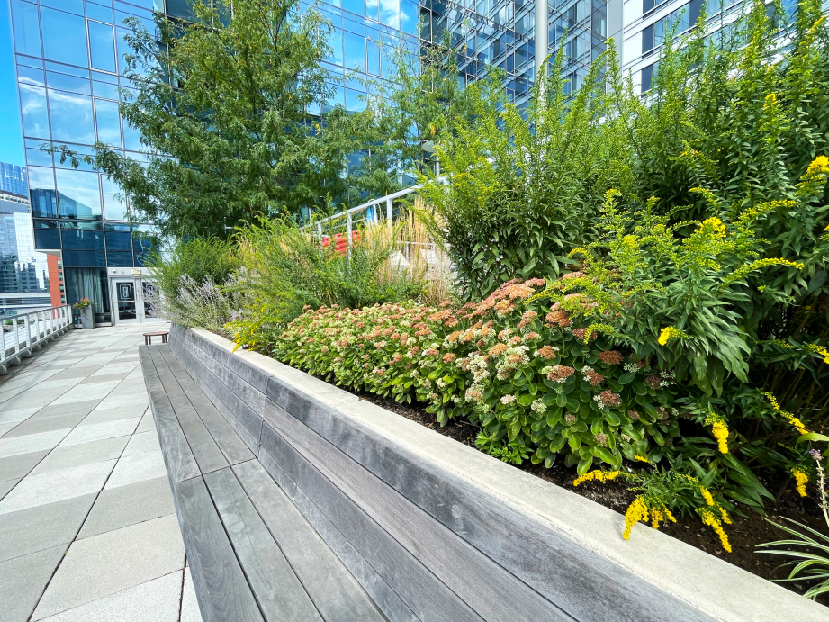 Commercial landscaping in the north shore of massachusetts