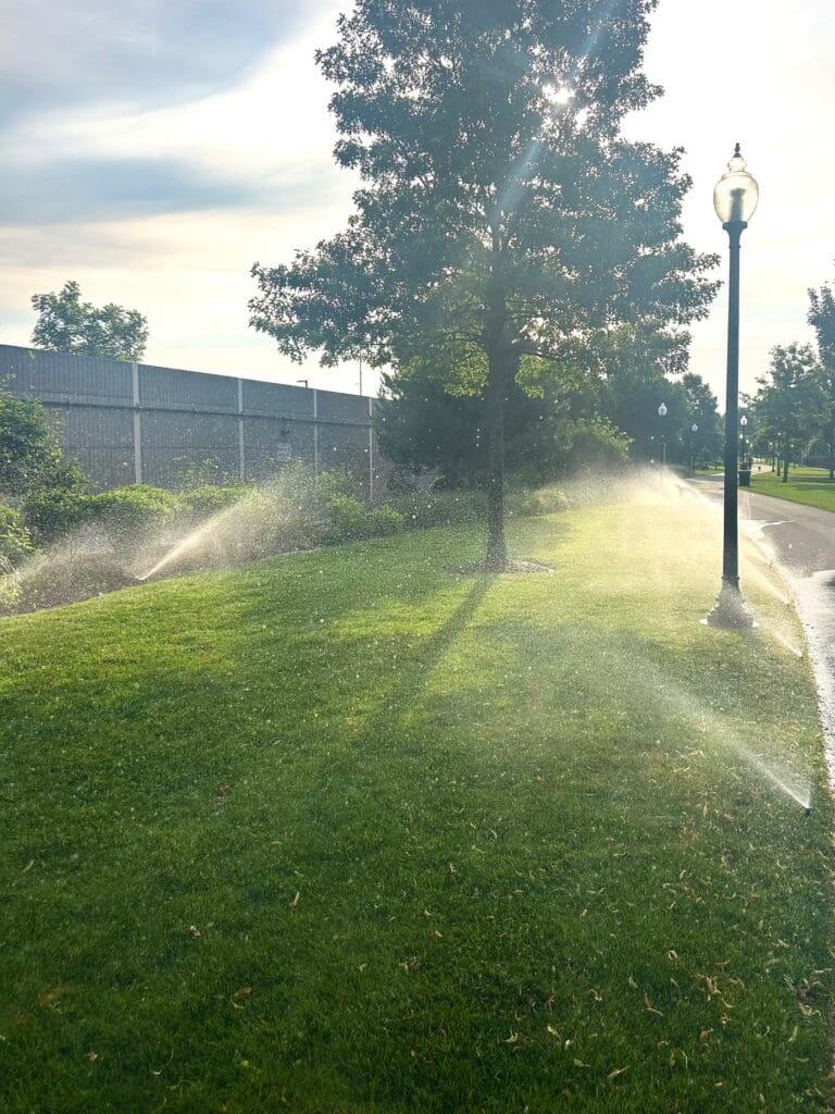 yard drainage solutions in massachusetts