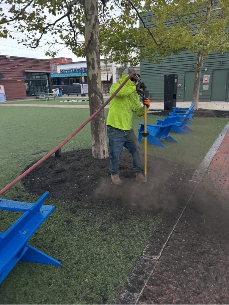 commercial tree care by Leahy Landscaping in Massachusetts