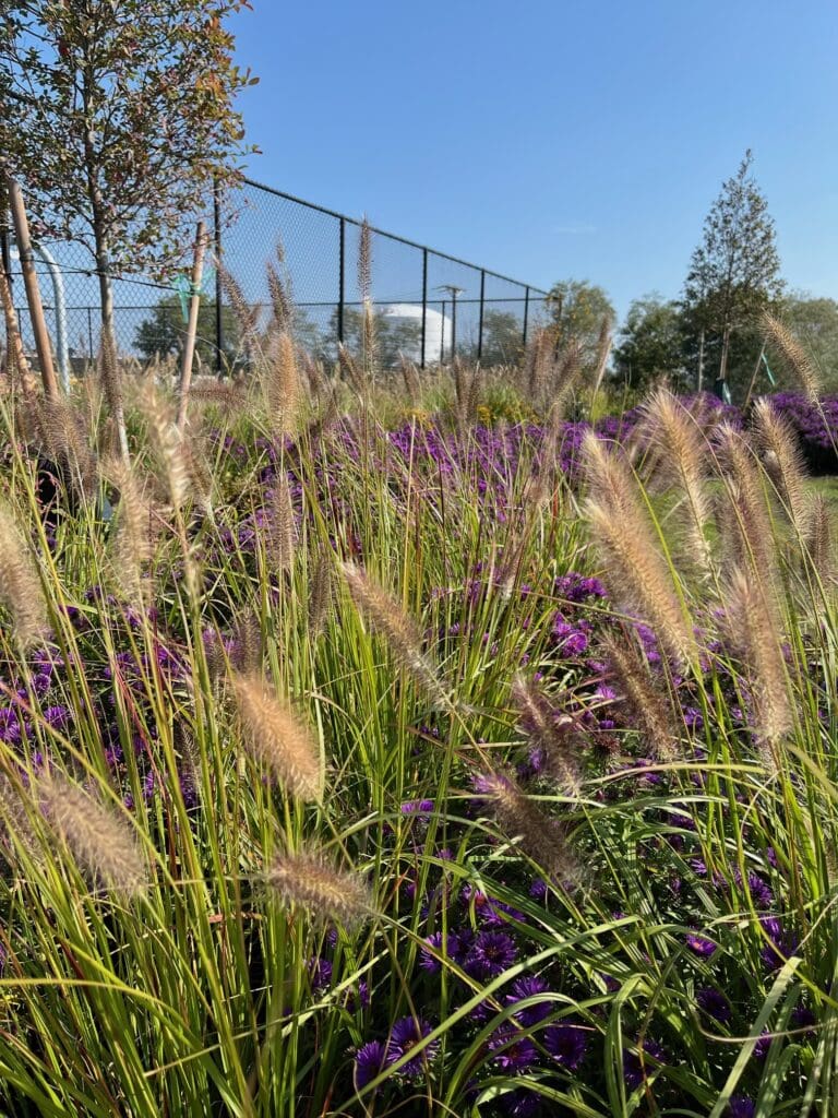 Commercial landscaping project in Lynn, MA by Leahy Landscaping, Inc.
